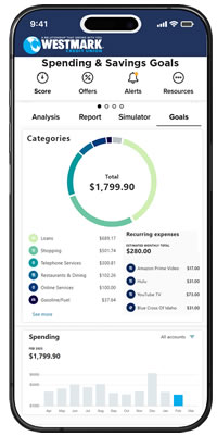 Spending Report