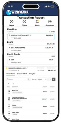 Transaction Reporting