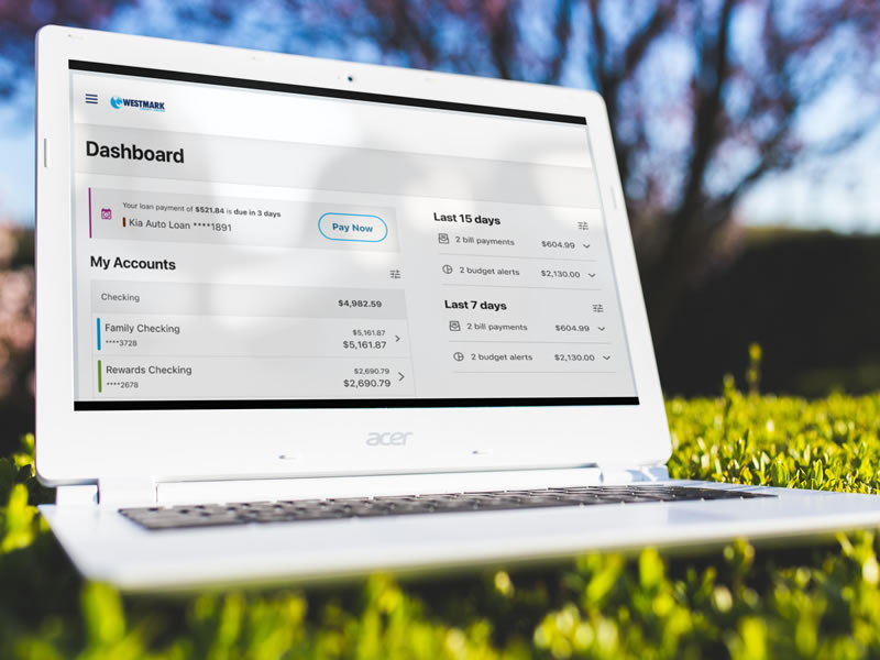 Member using digital banking on a laptop