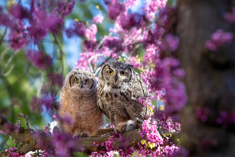 photo contest winner